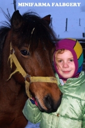 Zorka - český sportovní pony, miláček našich dětí 20.1.2013