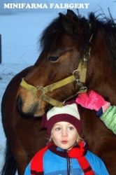 Zorka - český sportovní pony, miláček našich dětí 20.1.2013