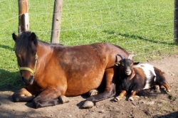 Zorka s Matějem 30.4.2011 